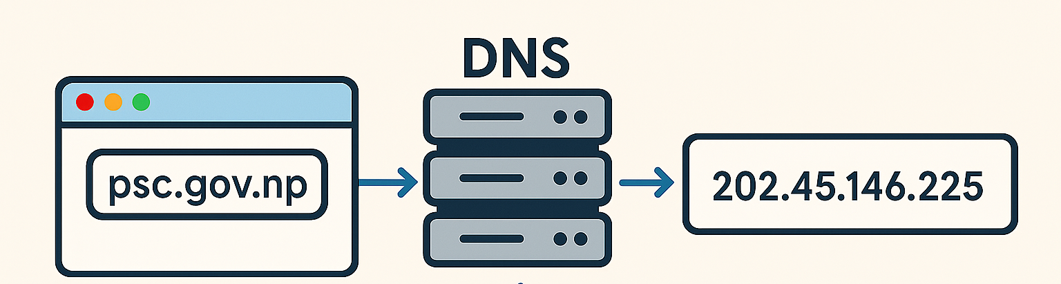 DNS 